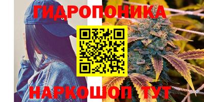сатива Бузулук